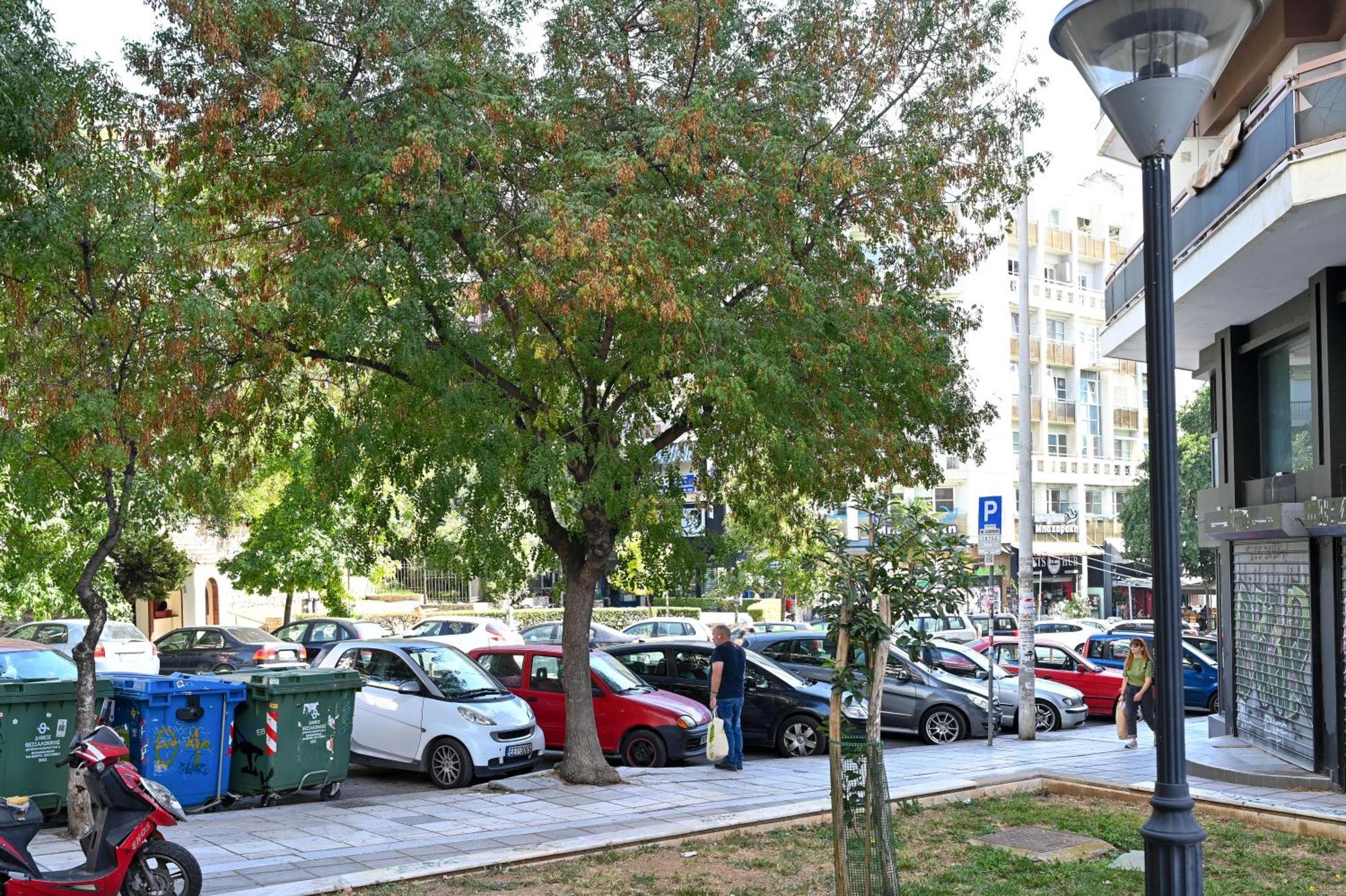 Thessaloniki Center Apartment On The Sunset מראה חיצוני תמונה